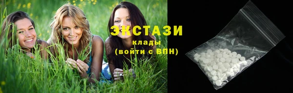 индика Володарск