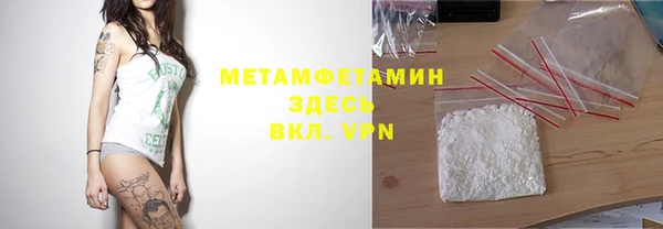 индика Володарск