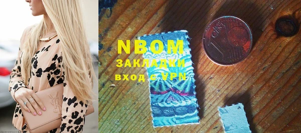 индика Волосово