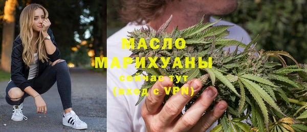 индика Волосово