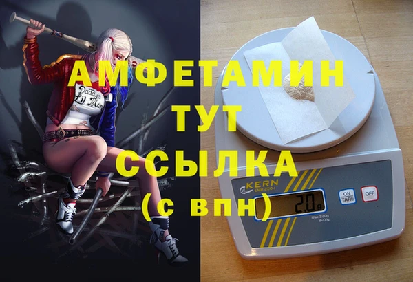 индика Володарск