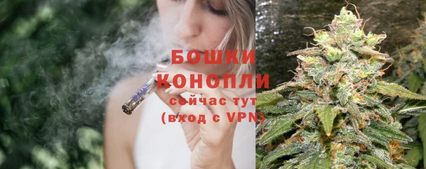индика Волосово