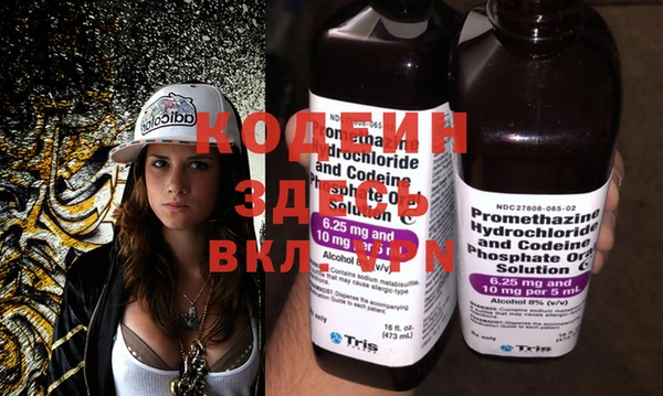 индика Володарск