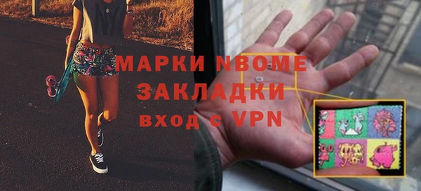индика Володарск