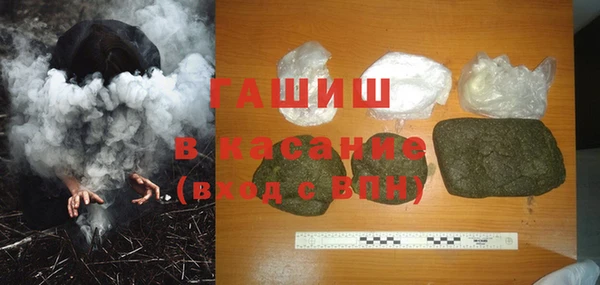 индика Володарск
