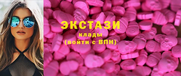 индика Володарск